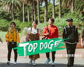 91暗网《TOP DOG》免费在线观看