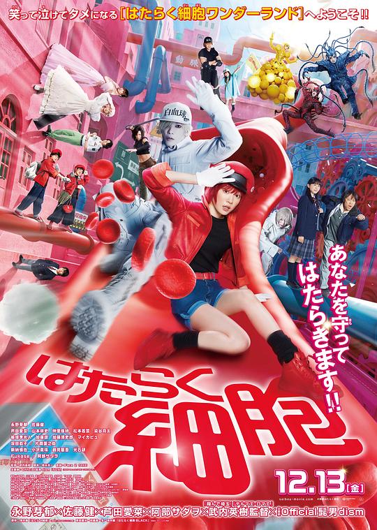 91撸色《工作细胞 真人版 はたらく細胞》免费在线观看