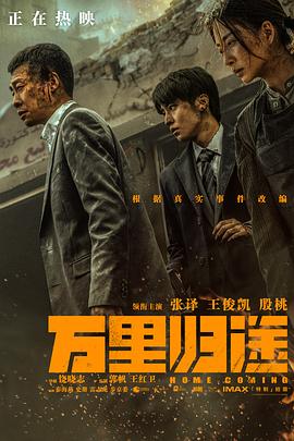 91暗网《万里归途》免费在线观看