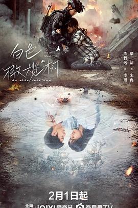 91暗网黑料《白色橄榄树》免费在线观看