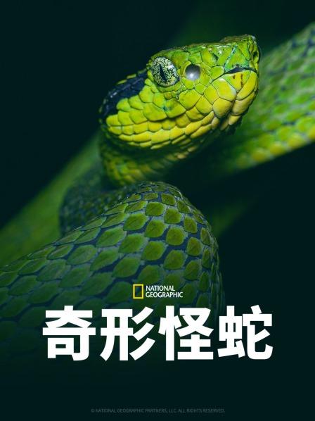 91暗网黑料《奇形怪蛇》免费在线观看